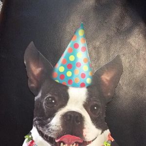 Meet your Posher, Debbi